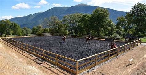 carriere equestre mots fléchés|Carrière équestre : définition pour mots fléchés